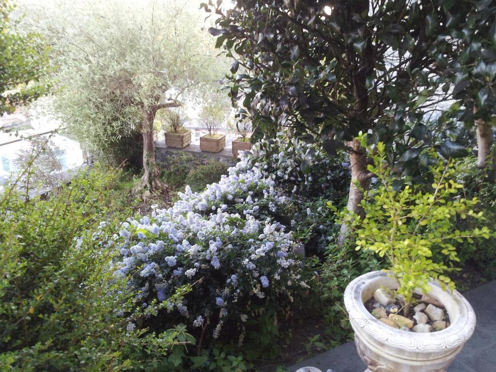 فندق Casona El Gurugu لواركا المظهر الخارجي الصورة
